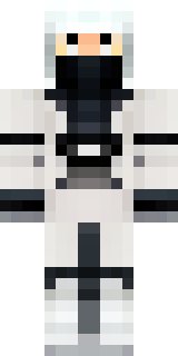 a white-clad ninja with silver throwing stars and a hood